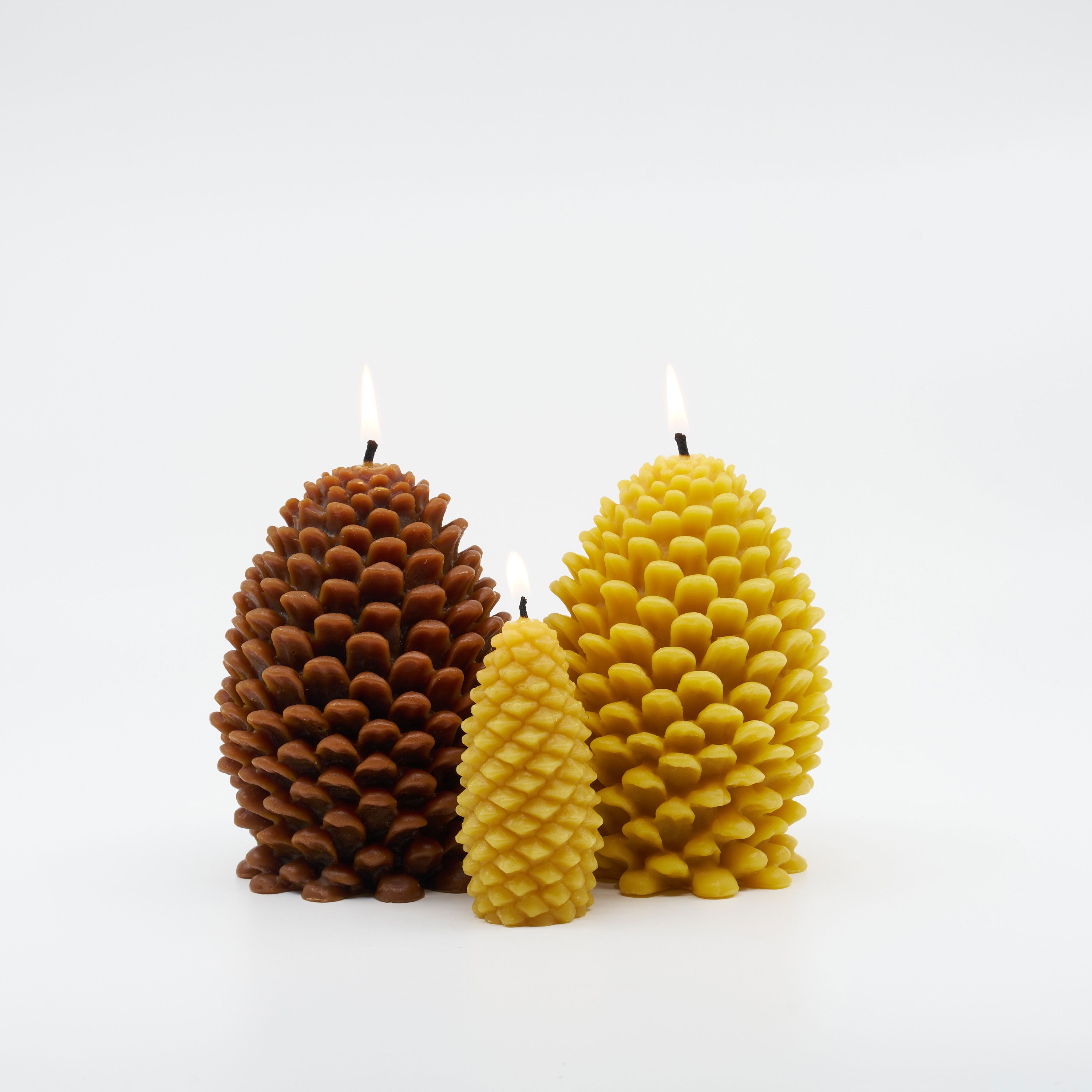 Pine Cones