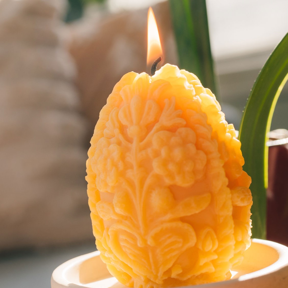 Carved Egg lifestyle lit