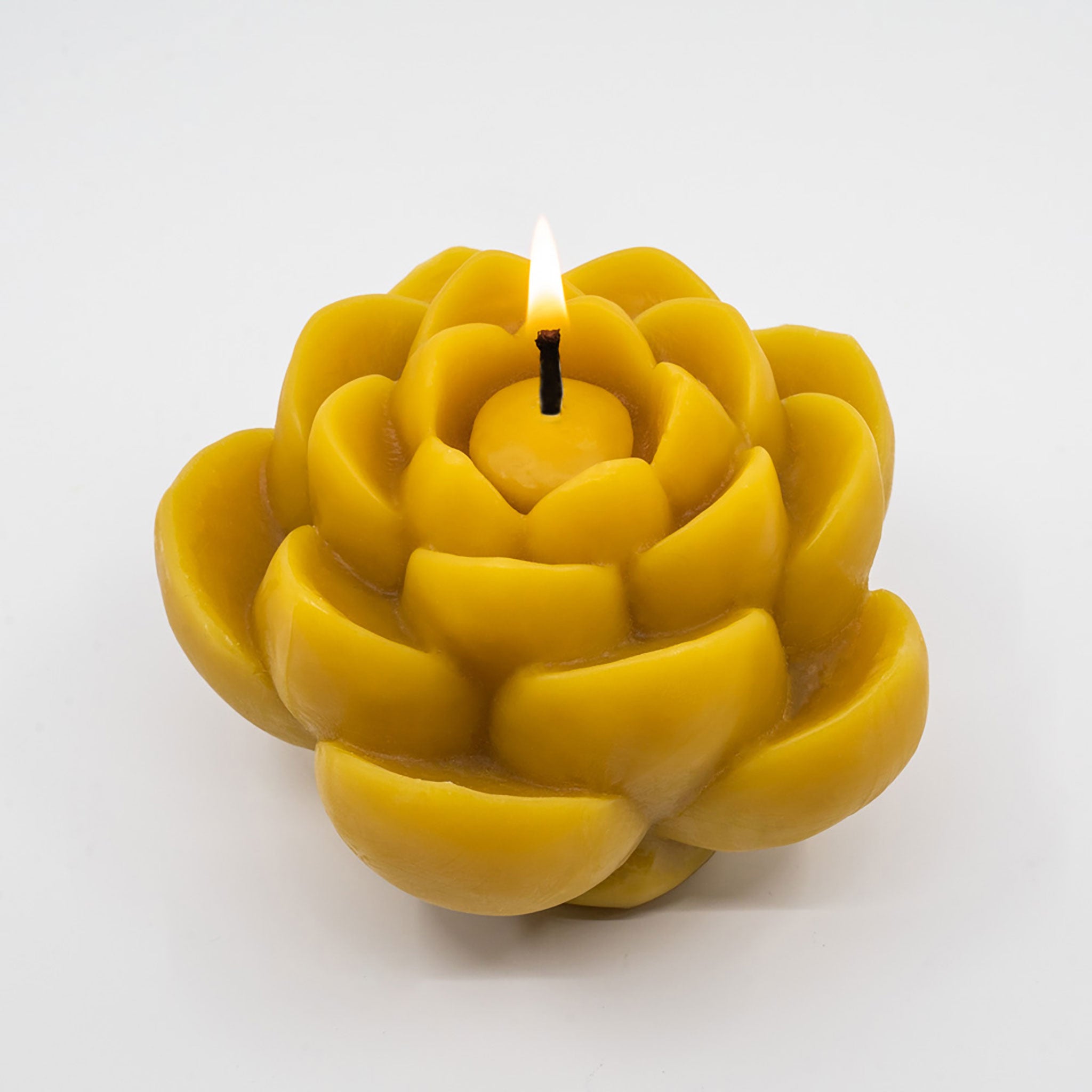 Lotus Flower