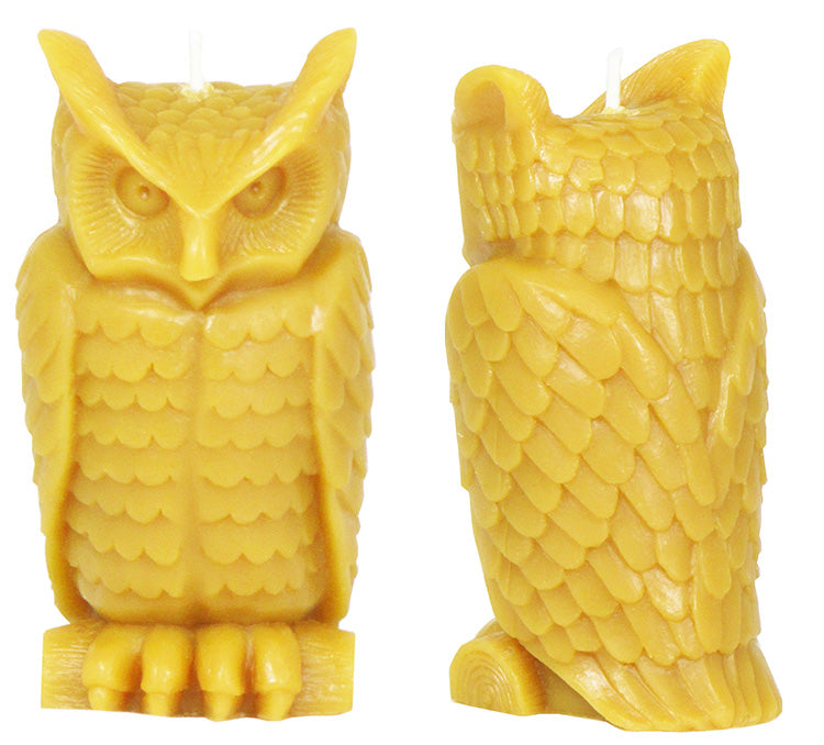 Details of natural wise owl front and back