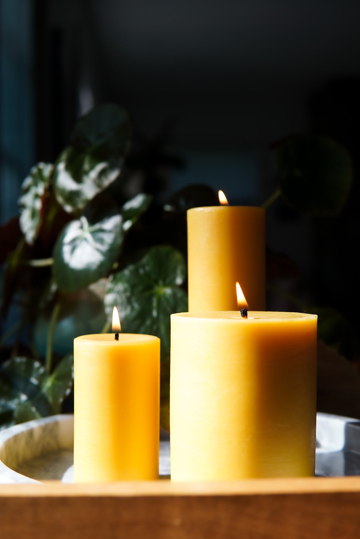 Three lit Sunbeam Candles Smooth Pillar candles on a wooden surface with a dark background.