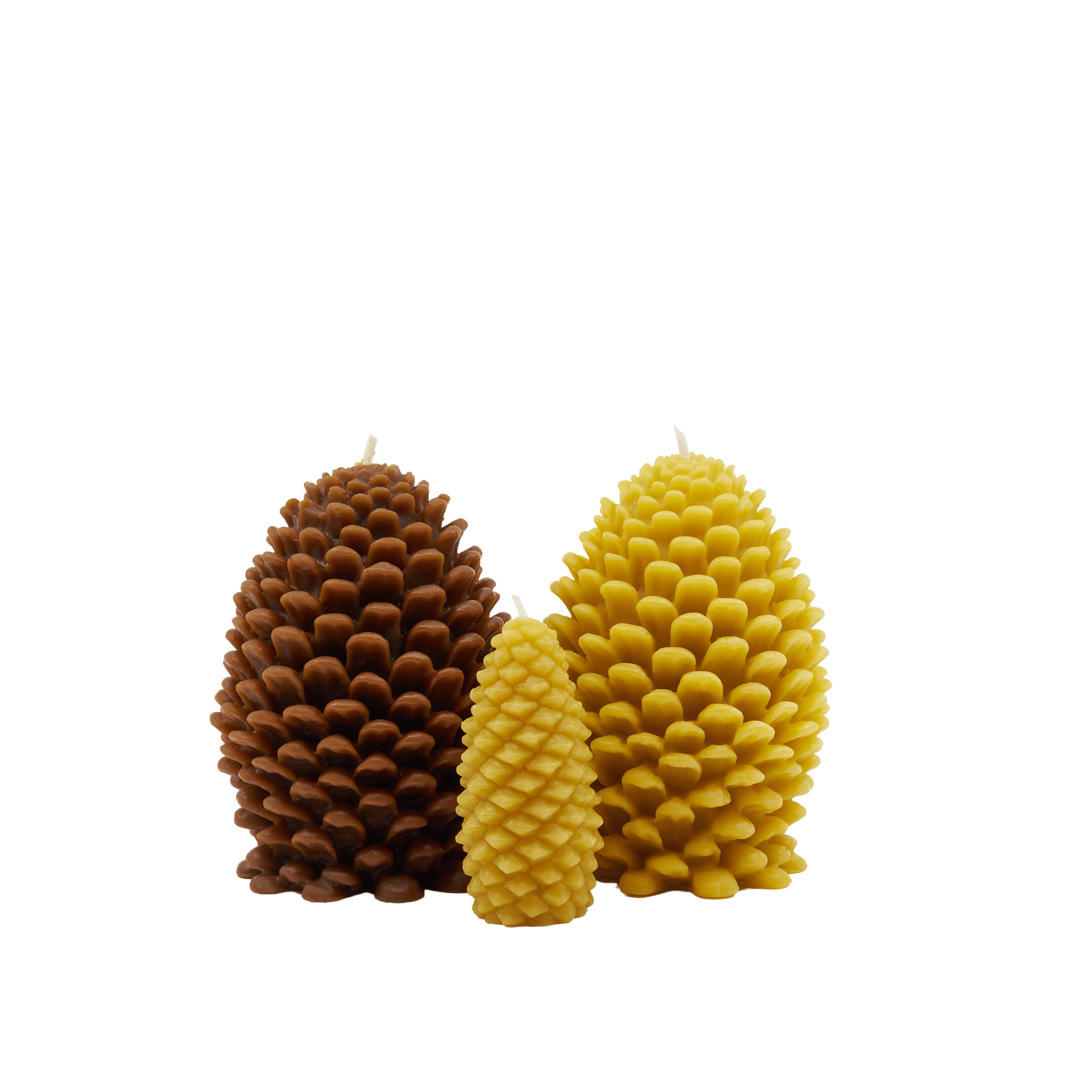 Beeswax Pine Cone candles in natural and brown.