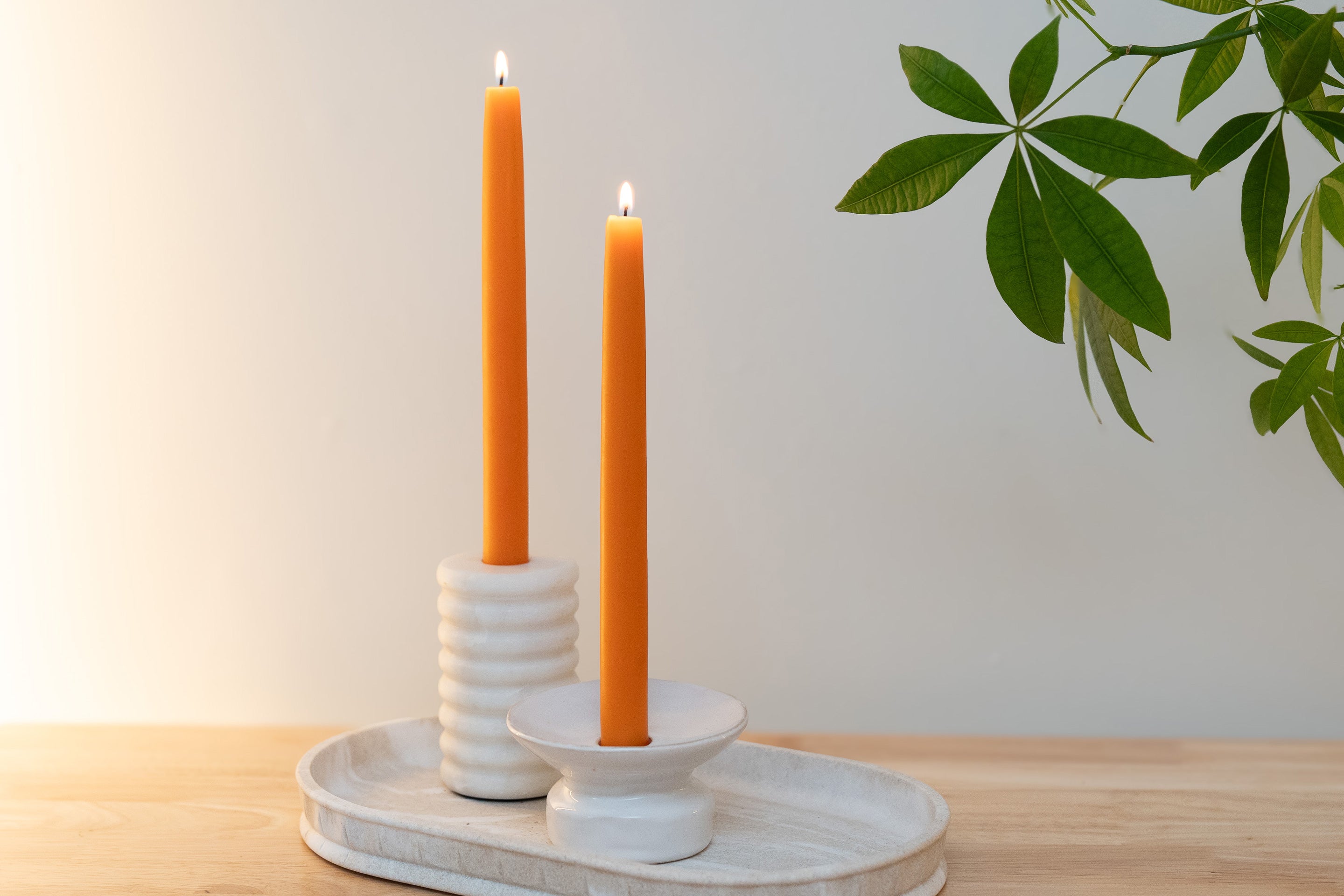 Two Sunbeam Candles 10" Dipped Beeswax Natural Gold Tapers lit in candle holders with a white wall behind them and a plant next to them.