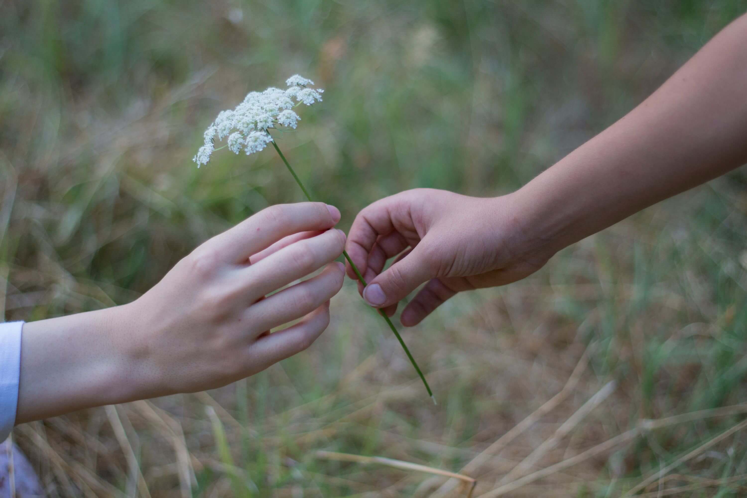 Person hands a flower to another person outside with grassy background