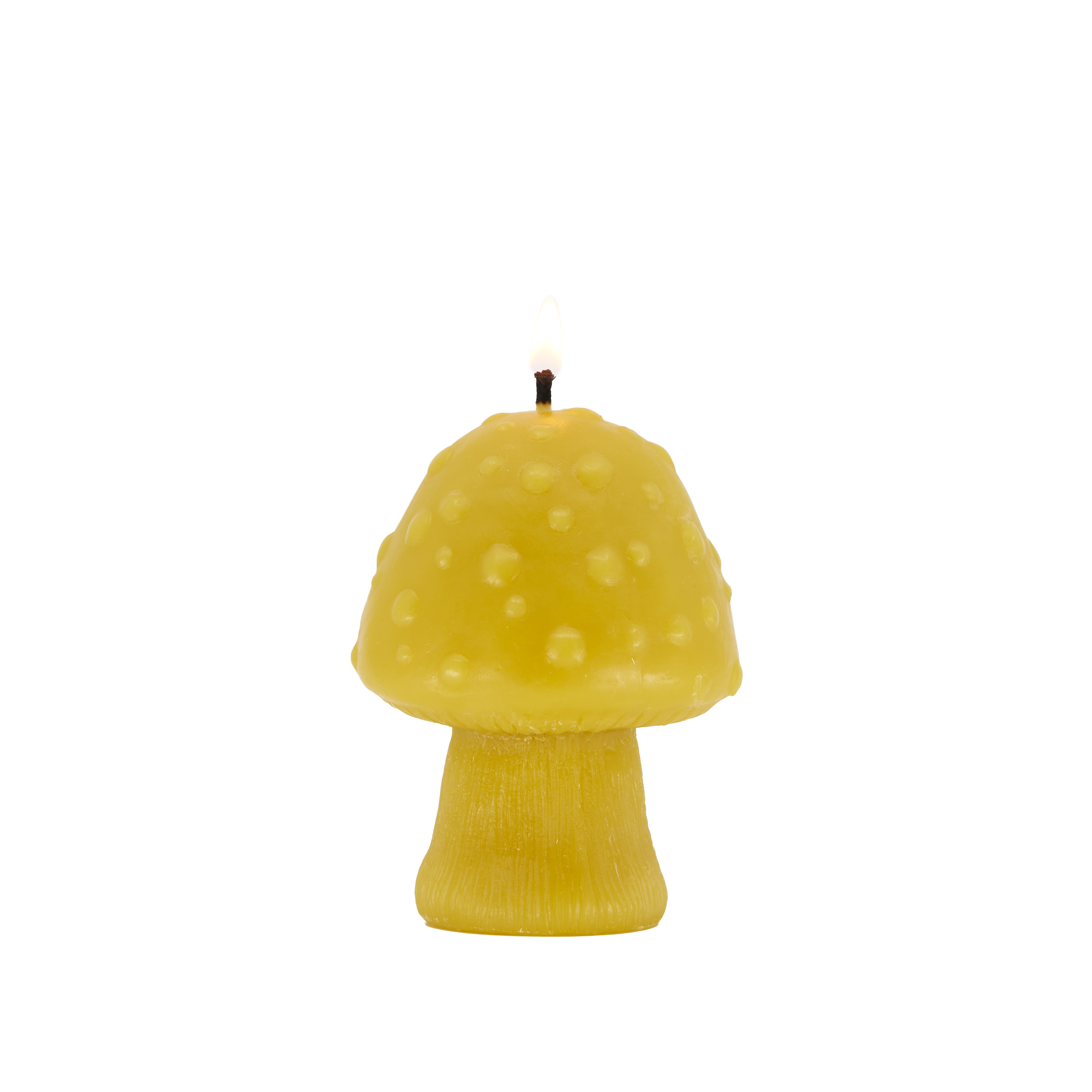 NEW! Mushroom