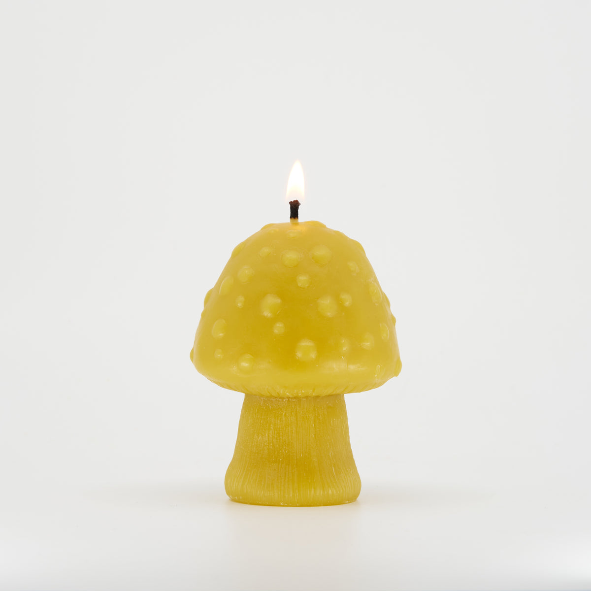 NEW! Mushroom