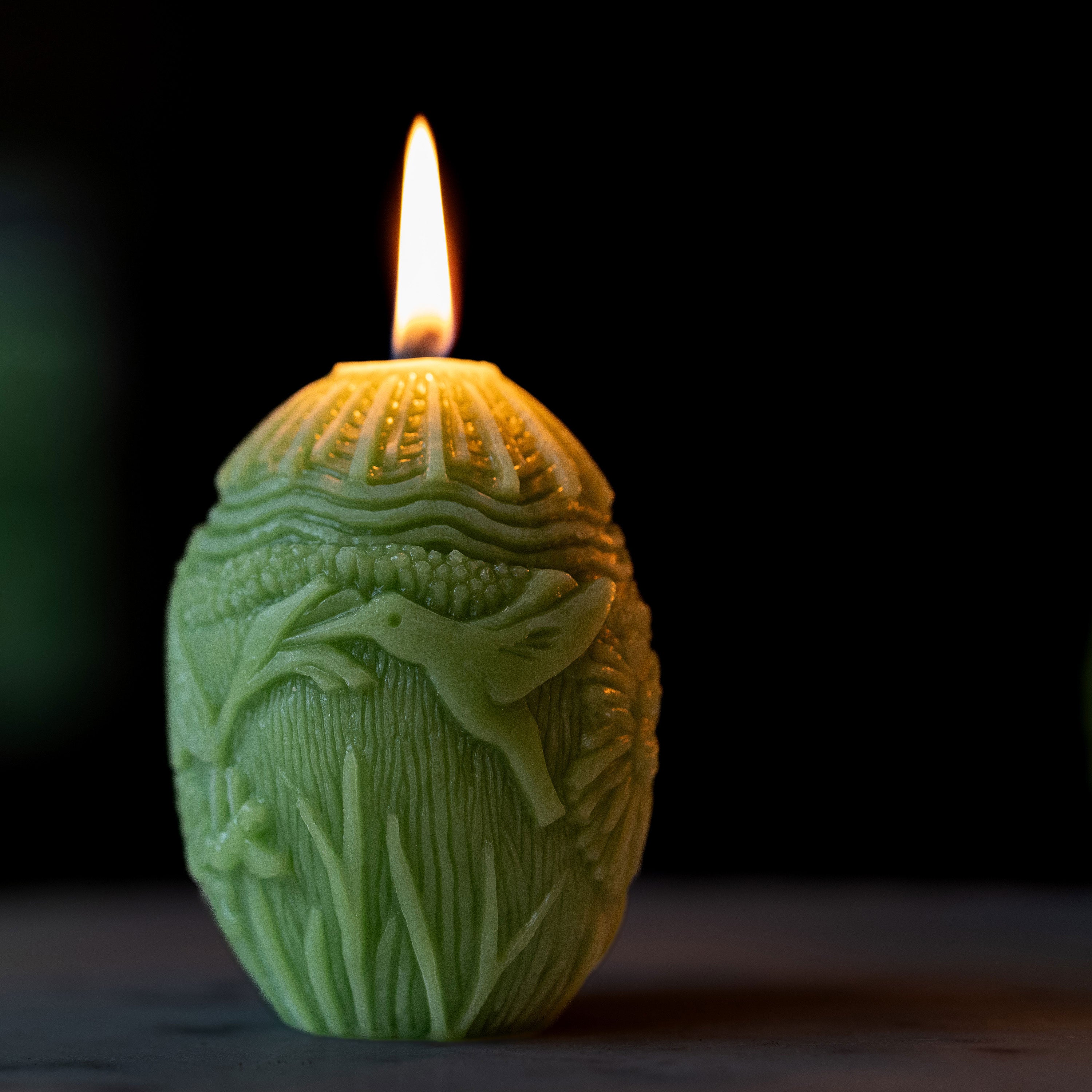 Everything Under the Sun