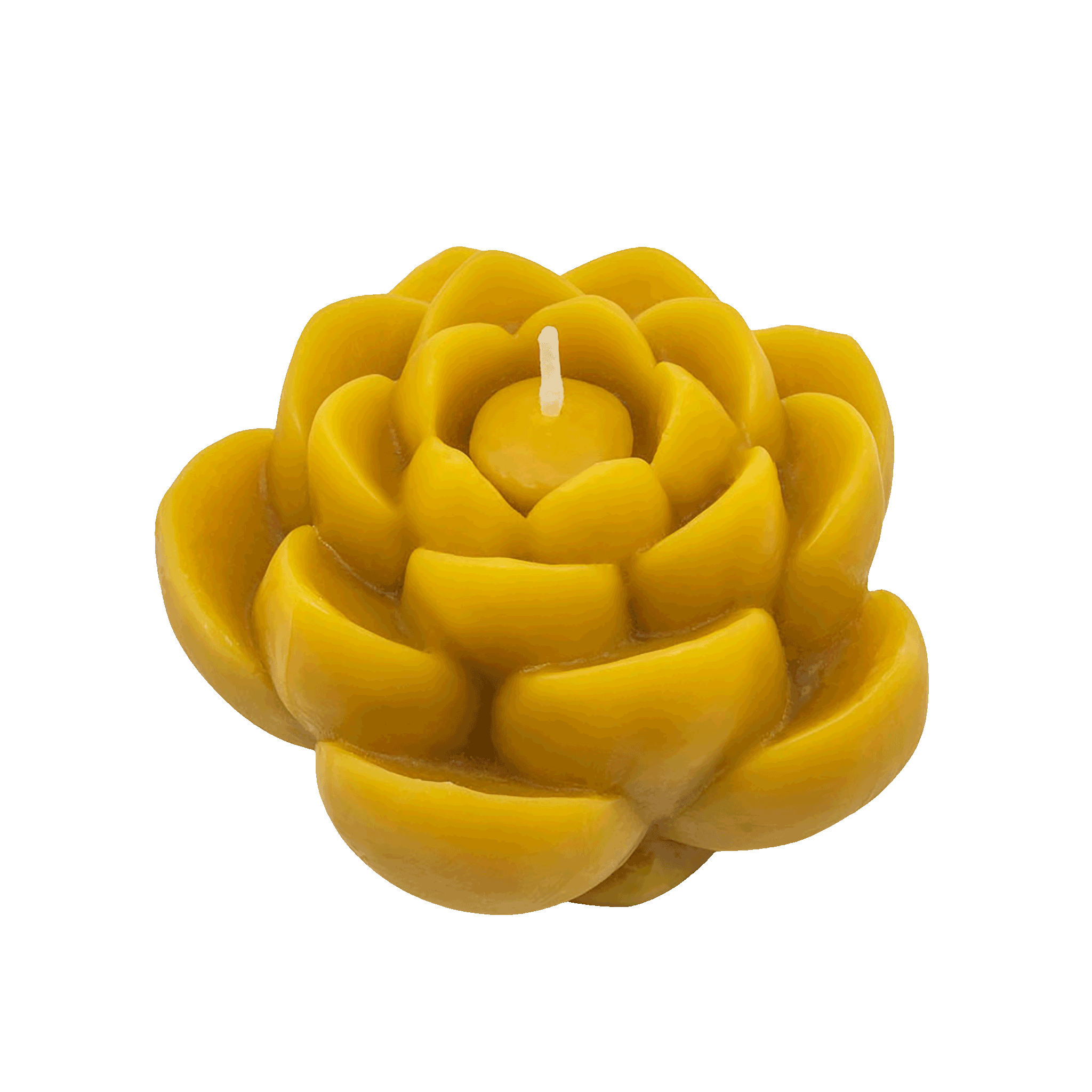 Gold-Yellow-Natural-Handcrafted-non-toxic-Unscented-100%-Beeswax-Candle-emergency-highest-rated-long-burning-unique-trending-home-gifts-lotus-flower-rebirth