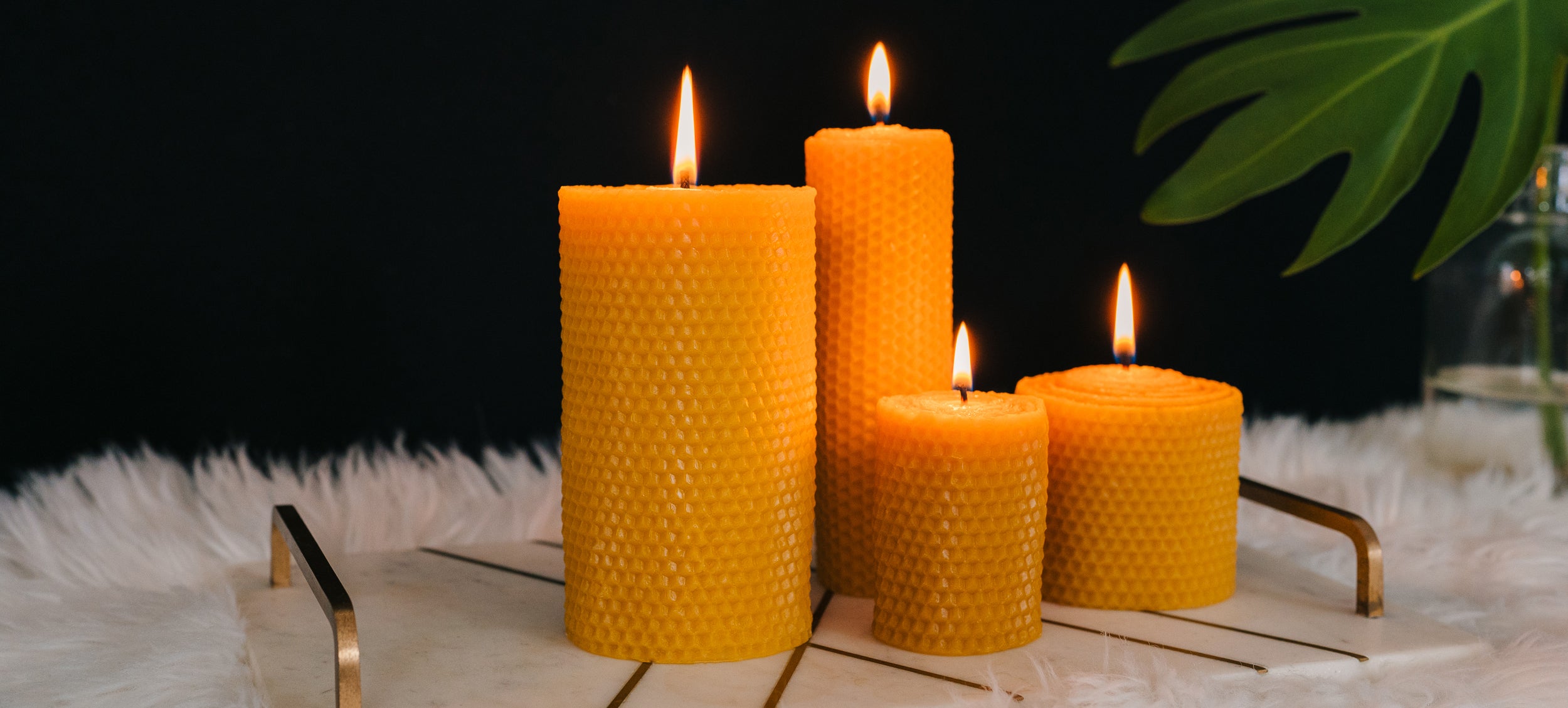 Four Sunbeam Candles Beeswax on a tray sitting on a white carpet with a plant next to them and a black background.