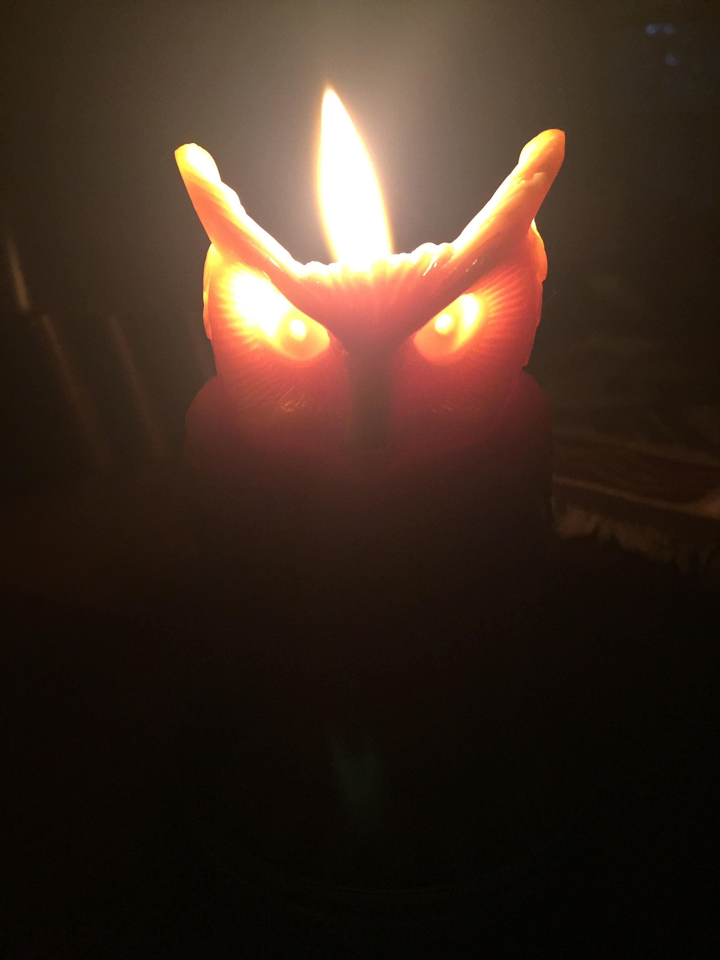 Natural Wise Owl lit burning through eyes