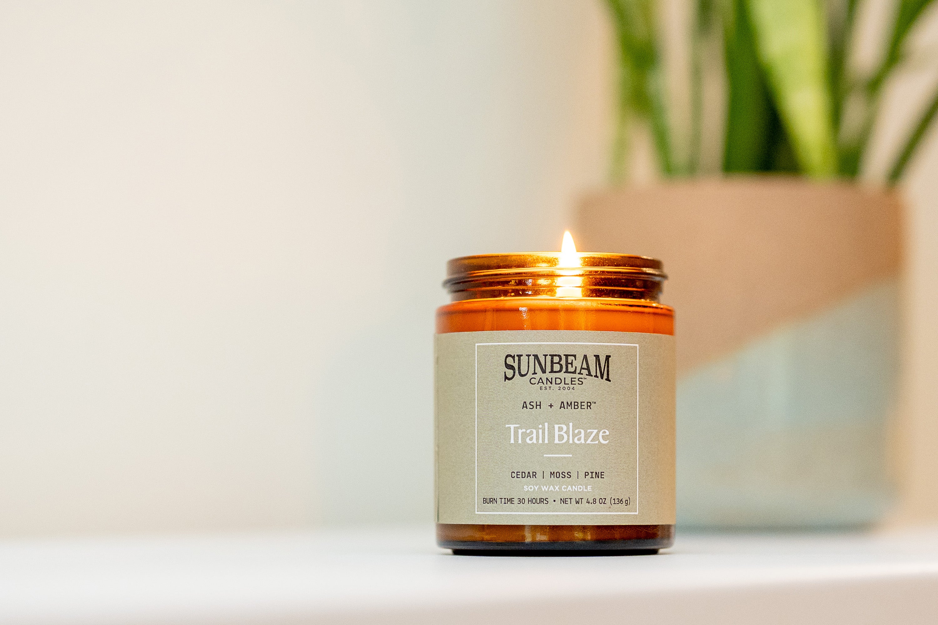 Sunbeam Candles Ash + Amber Everyday Scent Trail Blaze soy wax jar candle on a white surface with a plant behind it and a blurred whitish-grey background