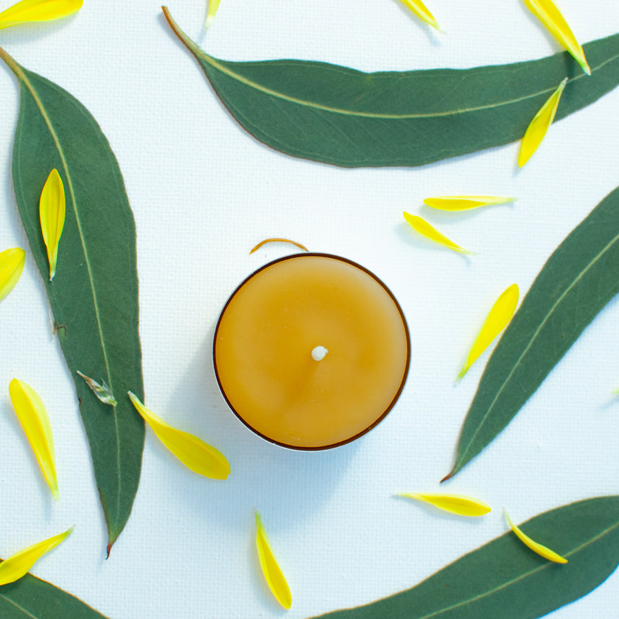 Single Sunbeam Candles pure beeswax tealight in aluminum cup sitting on a white surface with green & yellow leaves surrounding it.