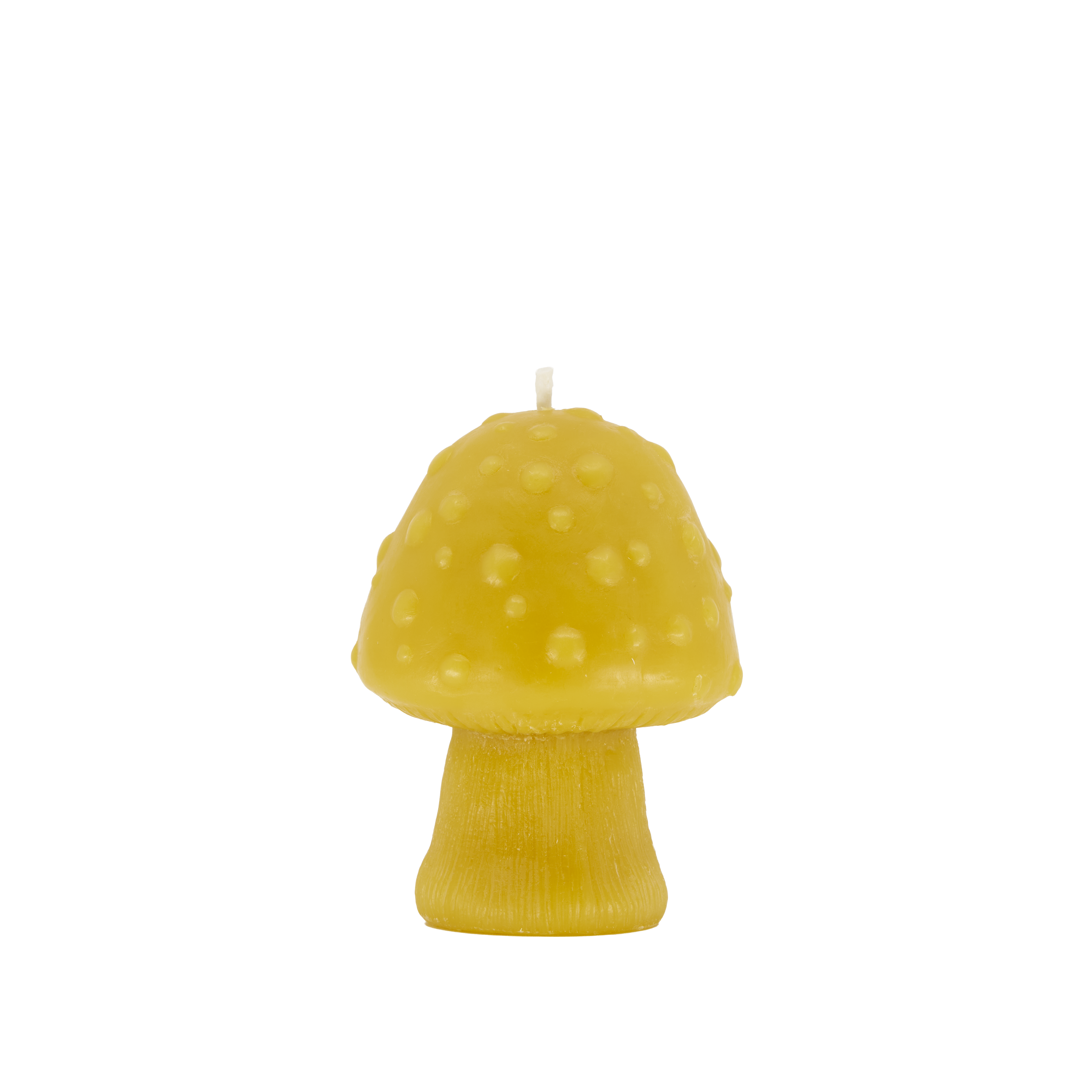 NEW! Mushroom